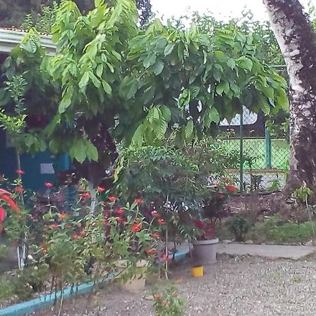 Cabinas Surf Side Cahuita Exterior photo