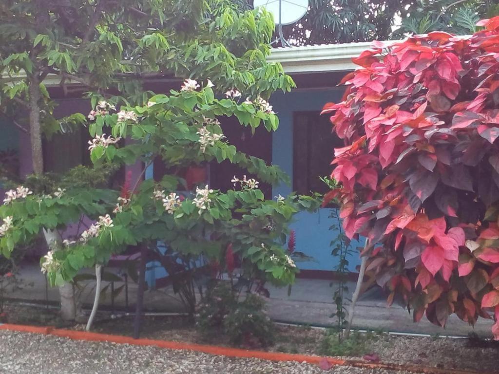 Cabinas Surf Side Cahuita Exterior photo